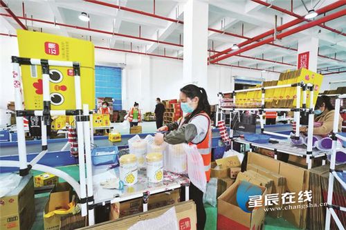 長沙縣全力穩住外貿基本盤 一季度新增外貿資質企業143家