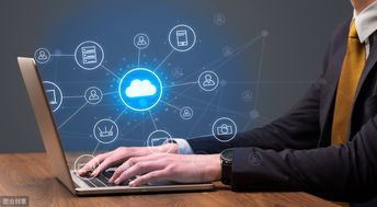 農產品電子商務發展 機遇、挑戰與經營策略探討